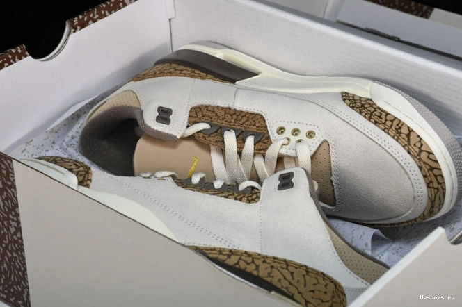 Jordan Palomino Retro   CT8532-102 3 0706